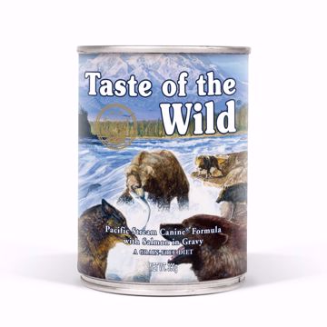 Imagem de TASTE OF THE WILD |  Pacific Stream Salmão 390 g