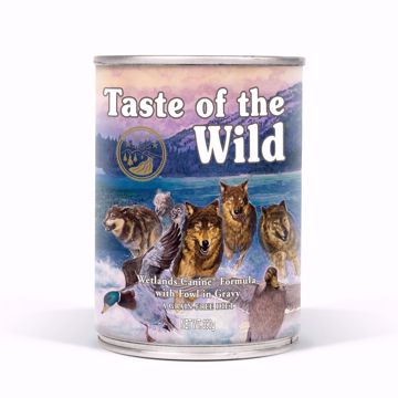 Imagem de TASTE OF THE WILD | Wetlands Fowl Pato 390 g