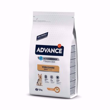 Imagem de ADVANCE Dog | Yorkshire Terrier Chicken & Rice 1,5 kg