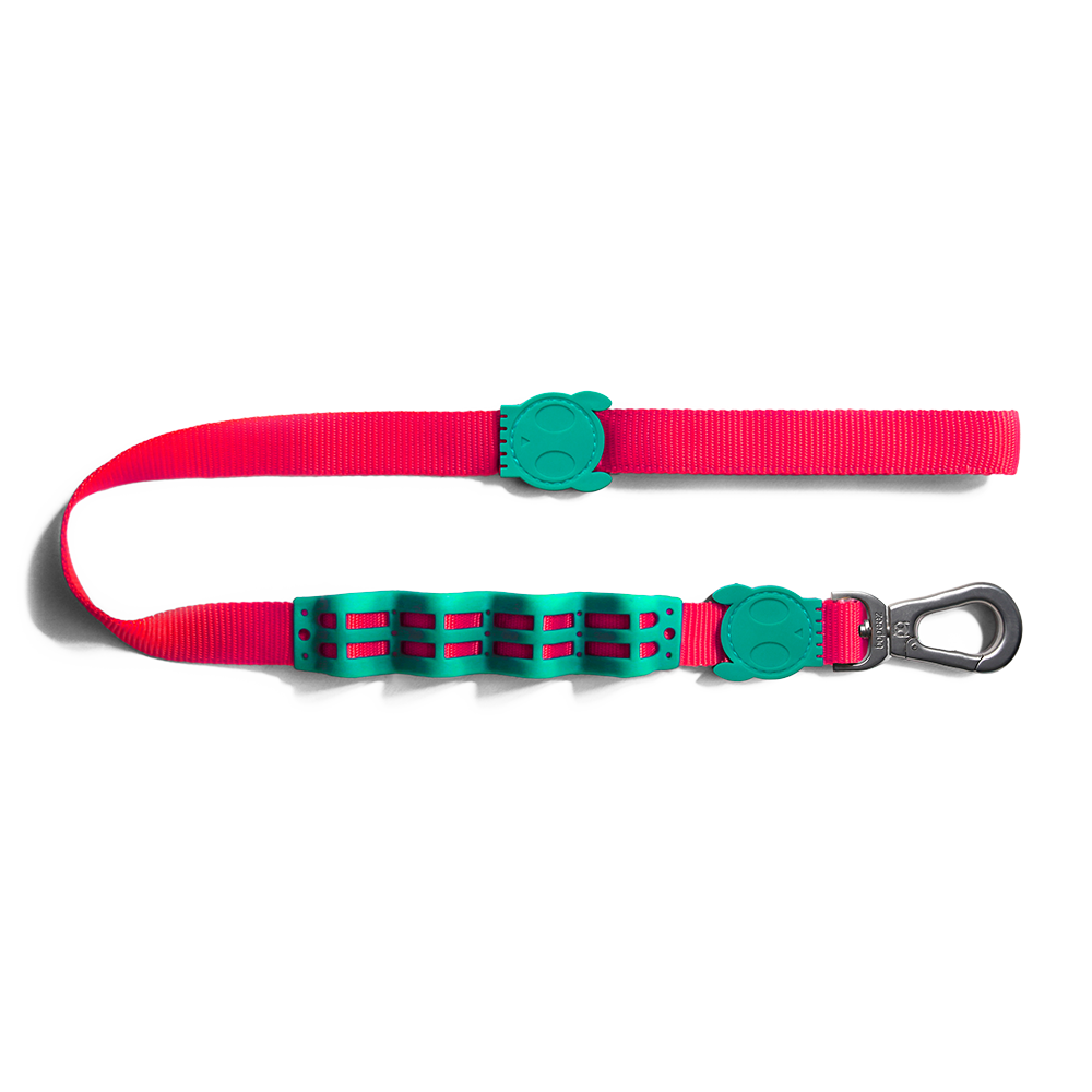 ThePetMarket,ZEE.DOG Ruff Leash Hava