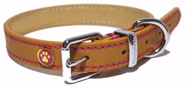 Imagem de ROSEWOOD | Collar Leather Tan