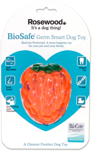 Imagem de BIOSAFE | Raspberry Toy