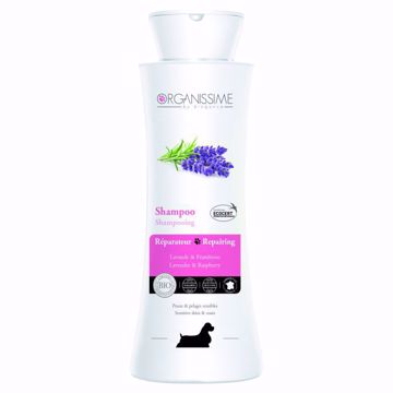 Imagem de ORGANISSIME | Repairing Shampoo 250 ml