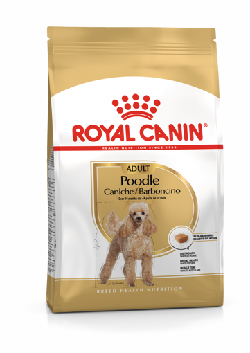 Imagem de ROYAL CANIN | Dog Poodle Adult