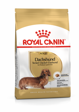 Imagem de ROYAL CANIN | Dog Dachshund Adult