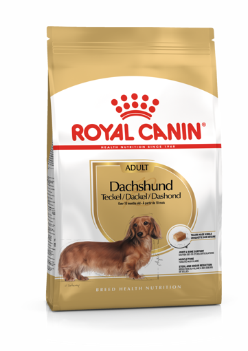 Imagem de ROYAL CANIN | Dog Dachshund Adult