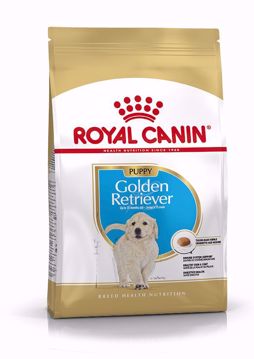 Imagem de ROYAL CANIN | Dog Golden Retriever Puppy 12 kg