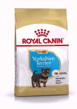 Imagem de ROYAL CANIN | Dog Yorkshire Terrier Puppy