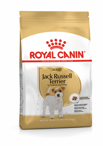 Imagem de ROYAL CANIN | Dog Jack Russell Adult 3 kg