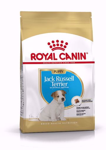 Imagem de ROYAL CANIN | Dog Jack Russell Puppy 3 kg