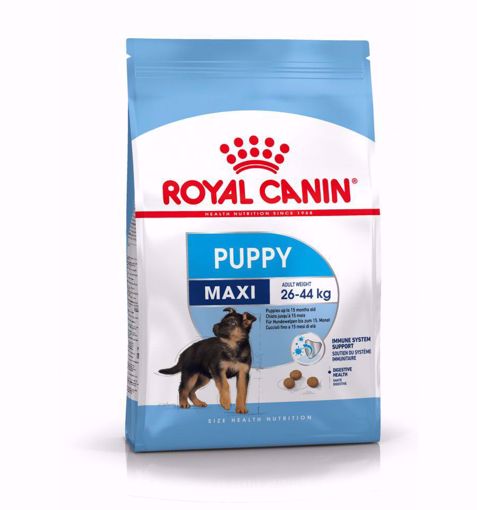 Imagem de ROYAL CANIN | Dog Maxi Puppy