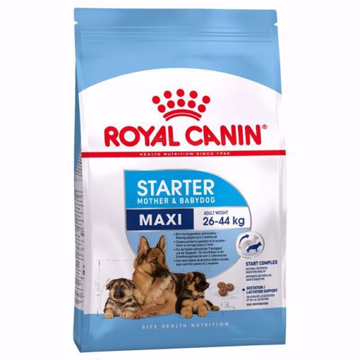 Imagem de ROYAL CANIN | Dog Maxi Starter