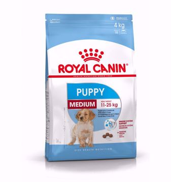 Imagem de ROYAL CANIN | Dog Medium Puppy