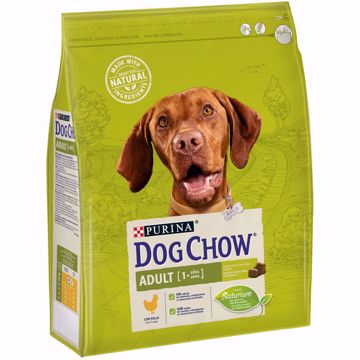 Imagem de DOG CHOW | Adult Frango