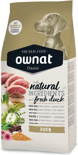 Imagem de OWNAT Cão | Classic Duck