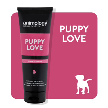 Imagem de ANIMOLOGY Dog | Shampoo Puppy Love 250 ml