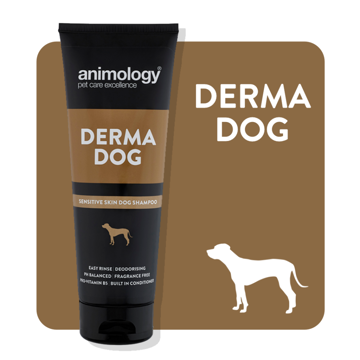 Imagem de ANIMOLOGY Dog | Shampoo Derma Dog 250 ml