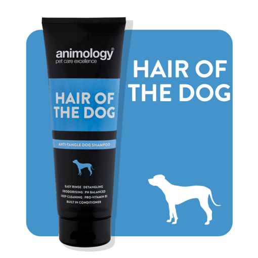 Imagem de ANIMOLOGY Dog | Shampoo Hair of the Dog 250 ml