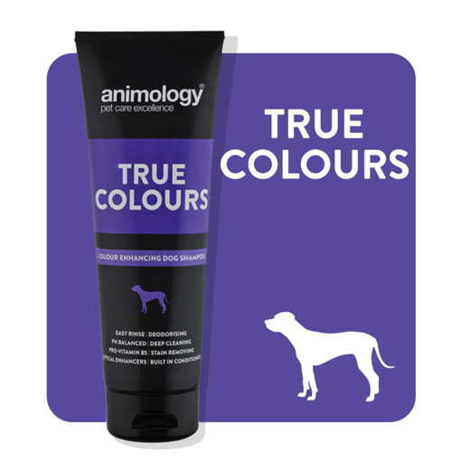 Imagem de ANIMOLOGY Dog | Shampoo True Colours 250 ml