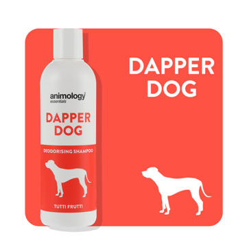 Imagem de ANIMOLOGY Dog  | Shampoo Dapper Dog 250 ml