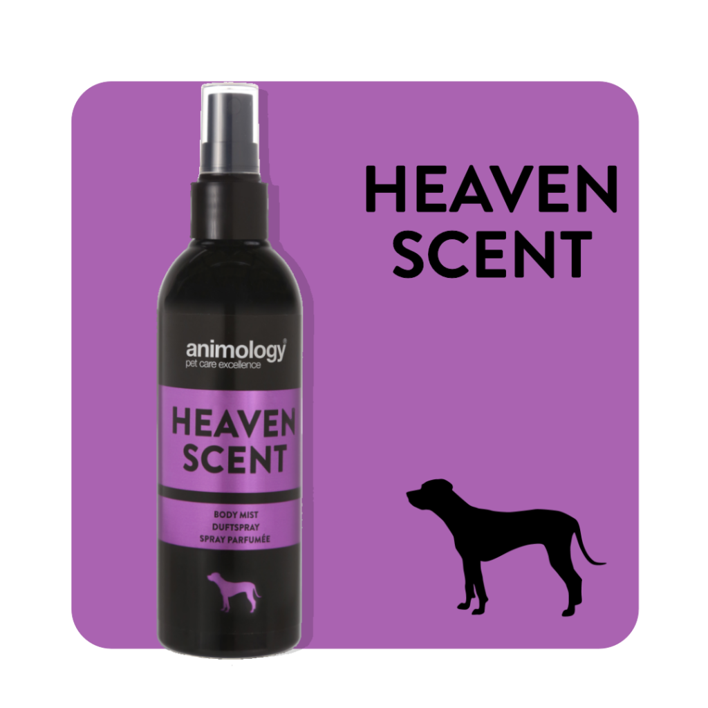 ThePetMarket,ANIMOLOGY Dog Perfume Spray Heaven Scent para Fêmea 150 ml