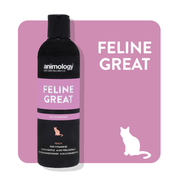 Imagem de ANIMOLOGY Cat | Shampoo Feline Great 250 ml
