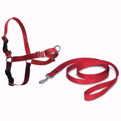 Imagem de PETSAFE | Easy Walk Harness Vermelho