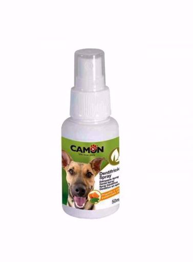 Imagem de CAMON | Spray Dental com Enzimas 50 ml