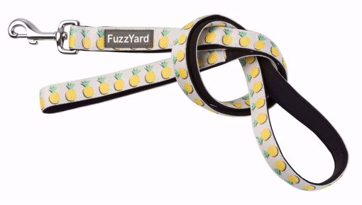 Imagem de FUZZYARD | Neoprene Lead Piña Colada