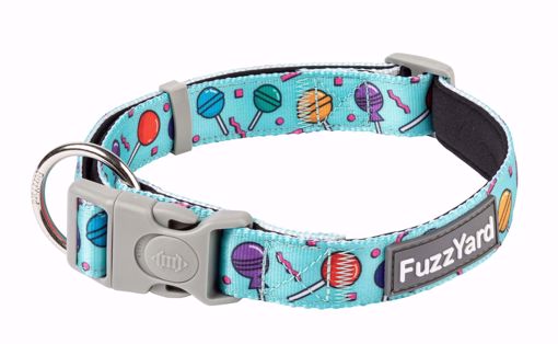 Imagem de FUZZYARD | Neoprene Collar Hey Suckers!