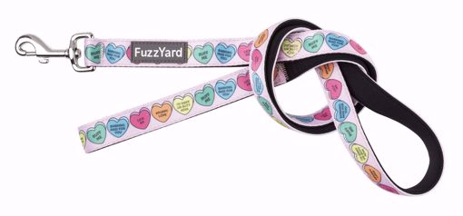 Imagem de FUZZYARD | Neoprene Lead Candy Hearts