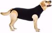 Imagem de SUITICAL Dog | Recovery Suit® - Fato de Recuperação pós Cirurgico | Black