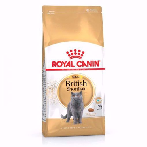 Imagem de ROYAL CANIN | British Shorthair Gato Adulto 2 kg
