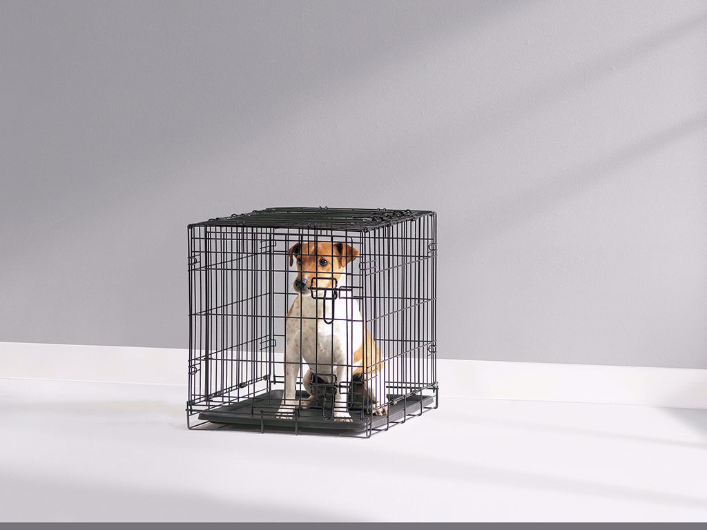 ThePetMarket,SAVIC Cottage Dog Crate
