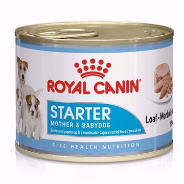 Imagem de ROYAL CANIN | Starter Mousse 195 g