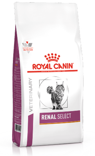 Imagem de ROYAL CANIN Vet | Renal Select Feline