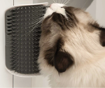 Imagem de CATIT | Self Groomer