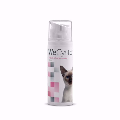 Imagem de WEPHARM | WeCysto Gato 100 ml