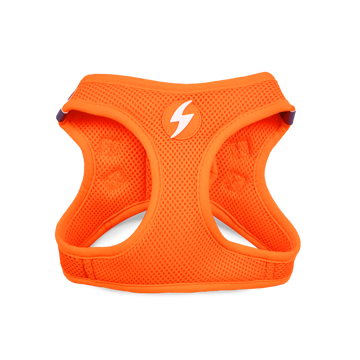 Imagem de DASHI | Peitoral Neon Oxy Mesh Orange