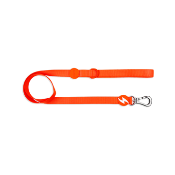 Imagem de DASHI | Trela Neon Orange