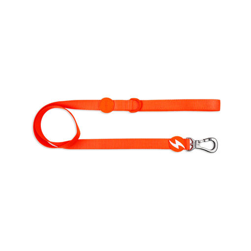 Imagem de DASHI | Trela Neon Orange