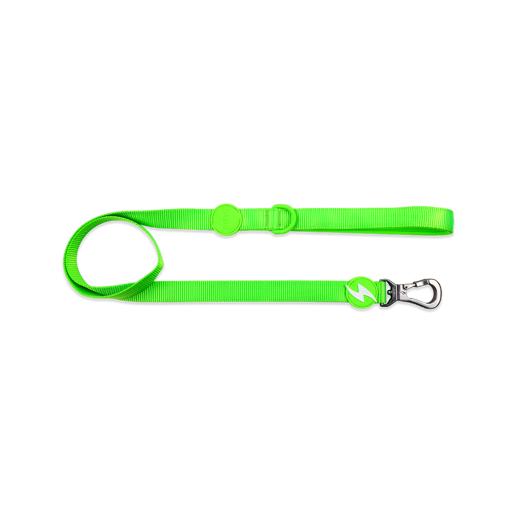 Imagem de DASHI | Trela Neon Green