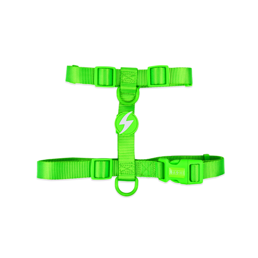Imagem de DASHI | Arnês Neon Green