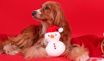 Imagem de DASHI | Xmas Plush Toy Snow